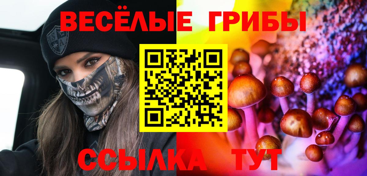 Псилоцибиновые грибы GOLDEN TEACHER  Вход с VPN  Бирск  Псилоцибиновые грибы Magic Shrooms 